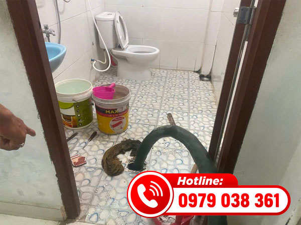 hút bể phốt tại Đoan Hùng